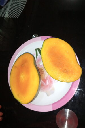 Sliced 2kg sweet mango