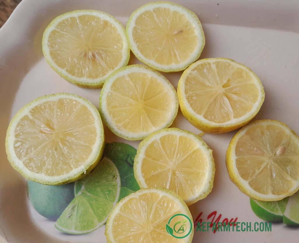 Sliced Lemons for detox drink